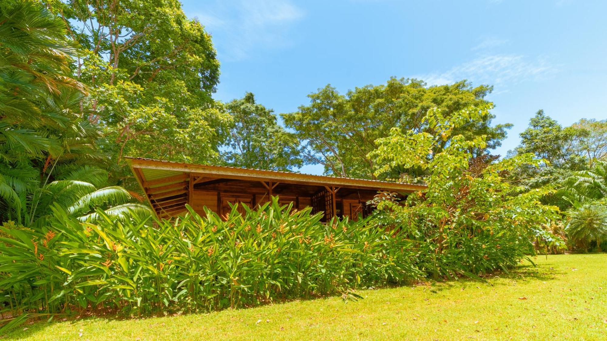 Casa Viva Lodge Puerto Viejo de Talamanca Exterior photo